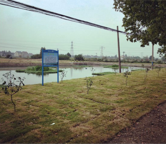 湖州市高新区沈溇村养殖尾水生态治理工程.jpg